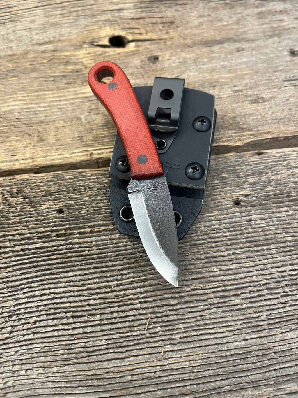 IMG_1970_1024x.jpg?v=1732638215