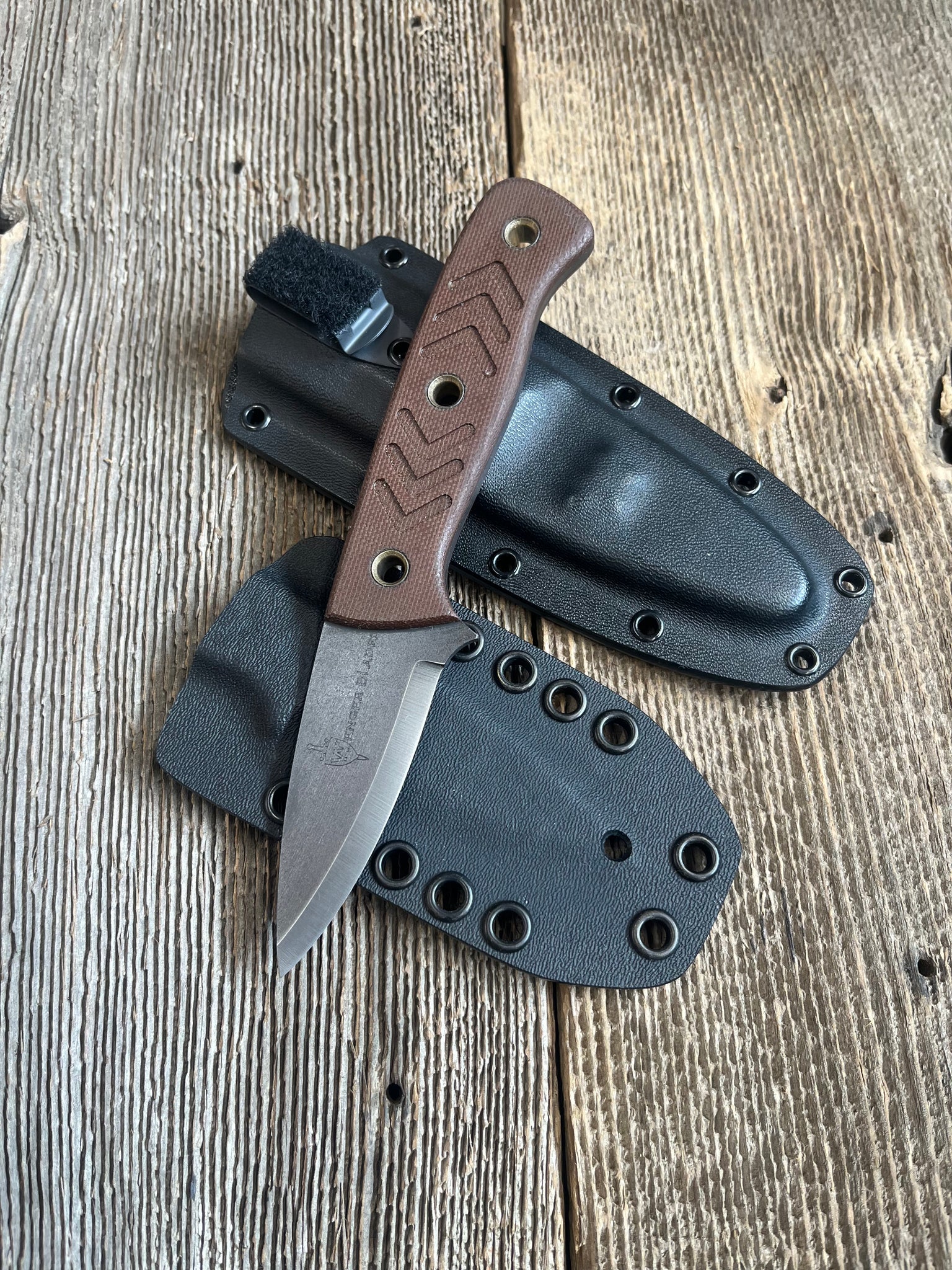 Companion