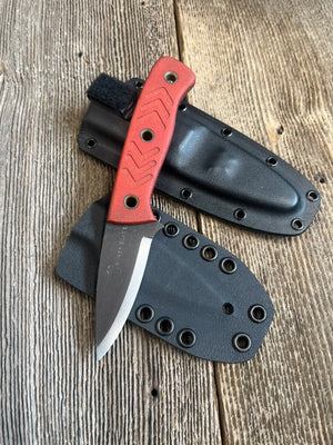 Companion