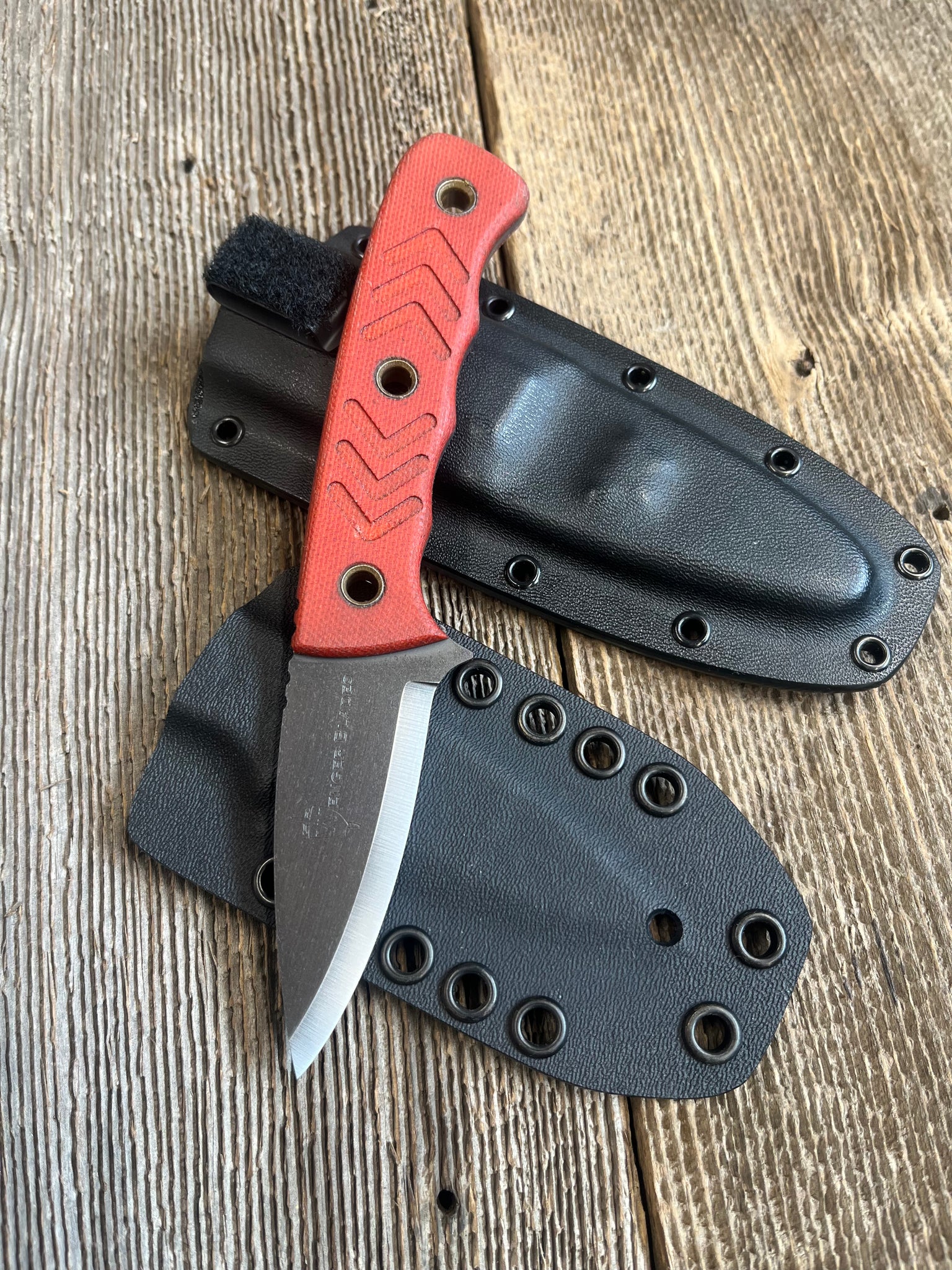 Companion