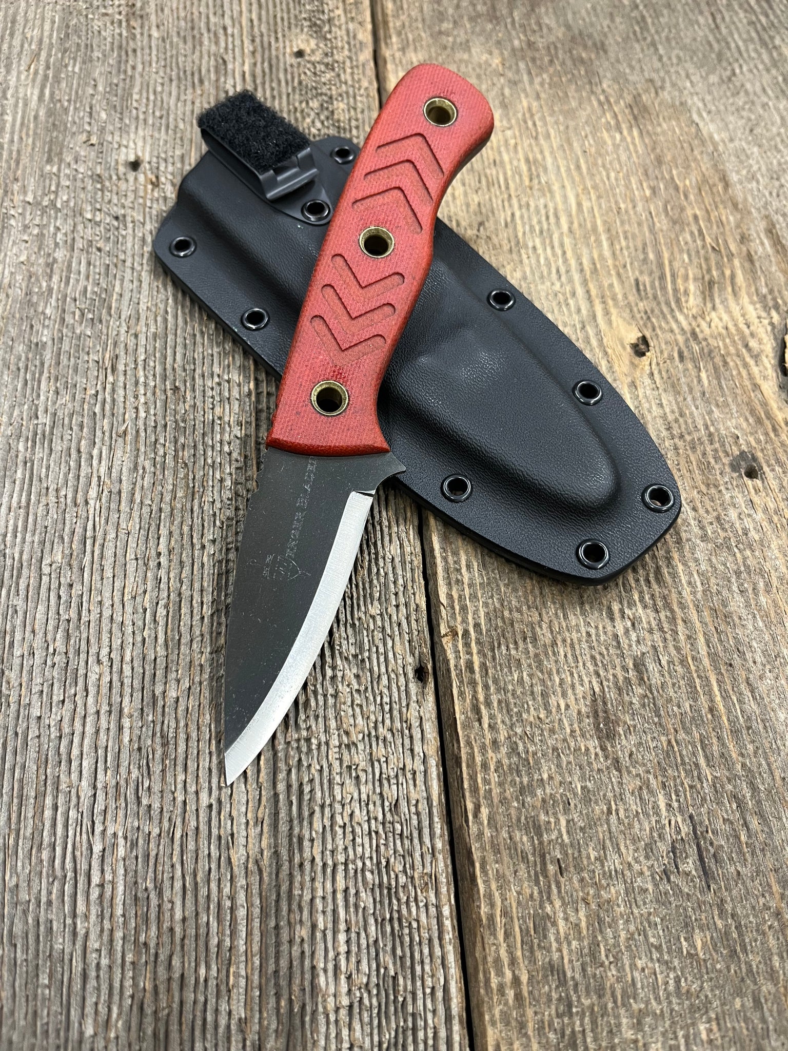 Companion